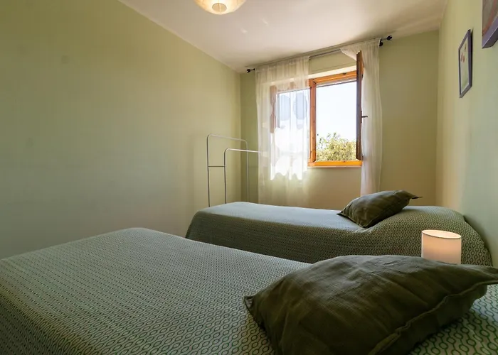 L'olivo Maritato * Sienne